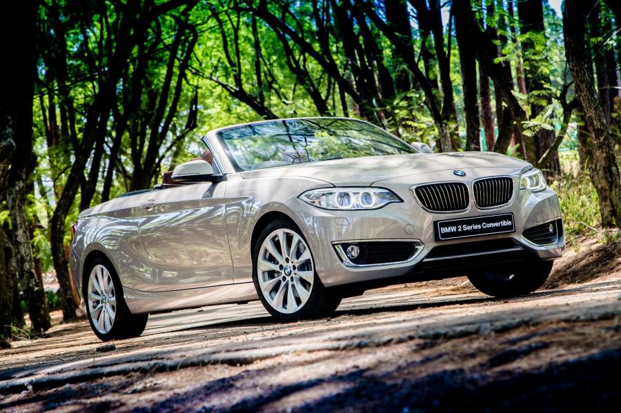  BMW 228i Convertible Luxury Line 2015 года  (ZA) (фото 10 из 30)